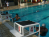 Swimming Competition